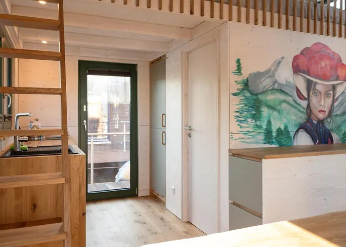 Tiny Hausboot Schwarzwald Maidle Mit Dachterrasse Und Kamin Bateau-hôtel *